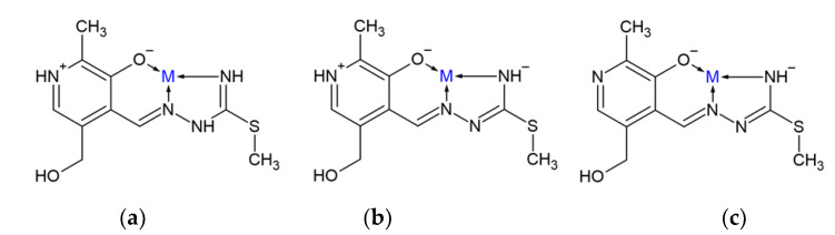 Scheme 2