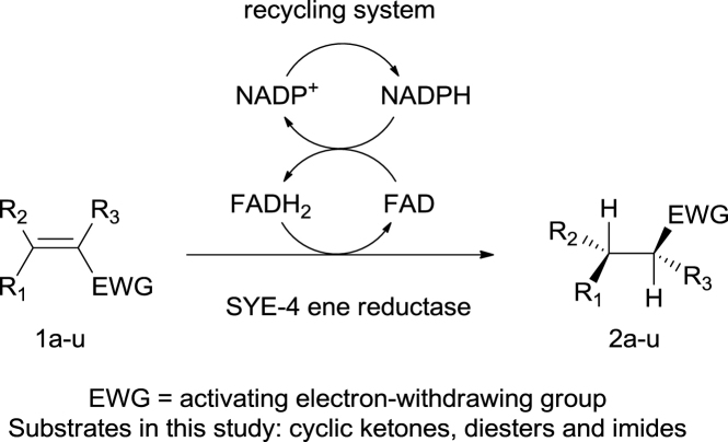 Fig. 1