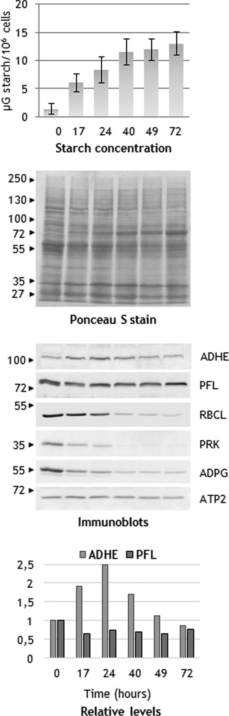 FIGURE 10.