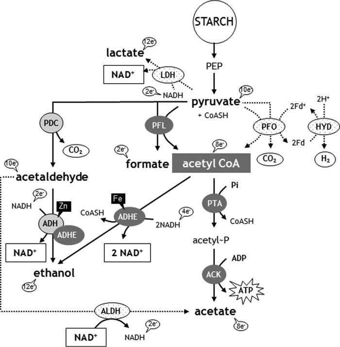 FIGURE 1.