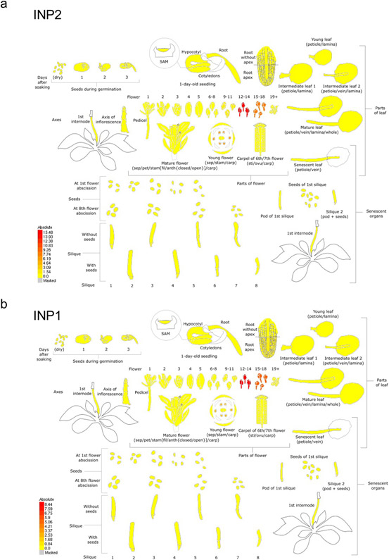 Extended Data Fig. 1