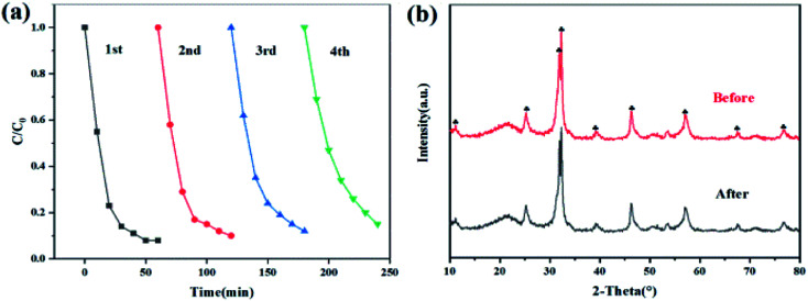 Fig. 11