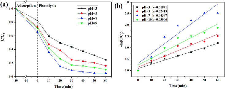 Fig. 10