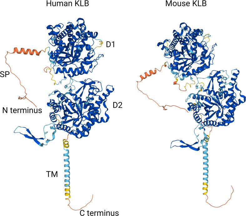 Figure 2