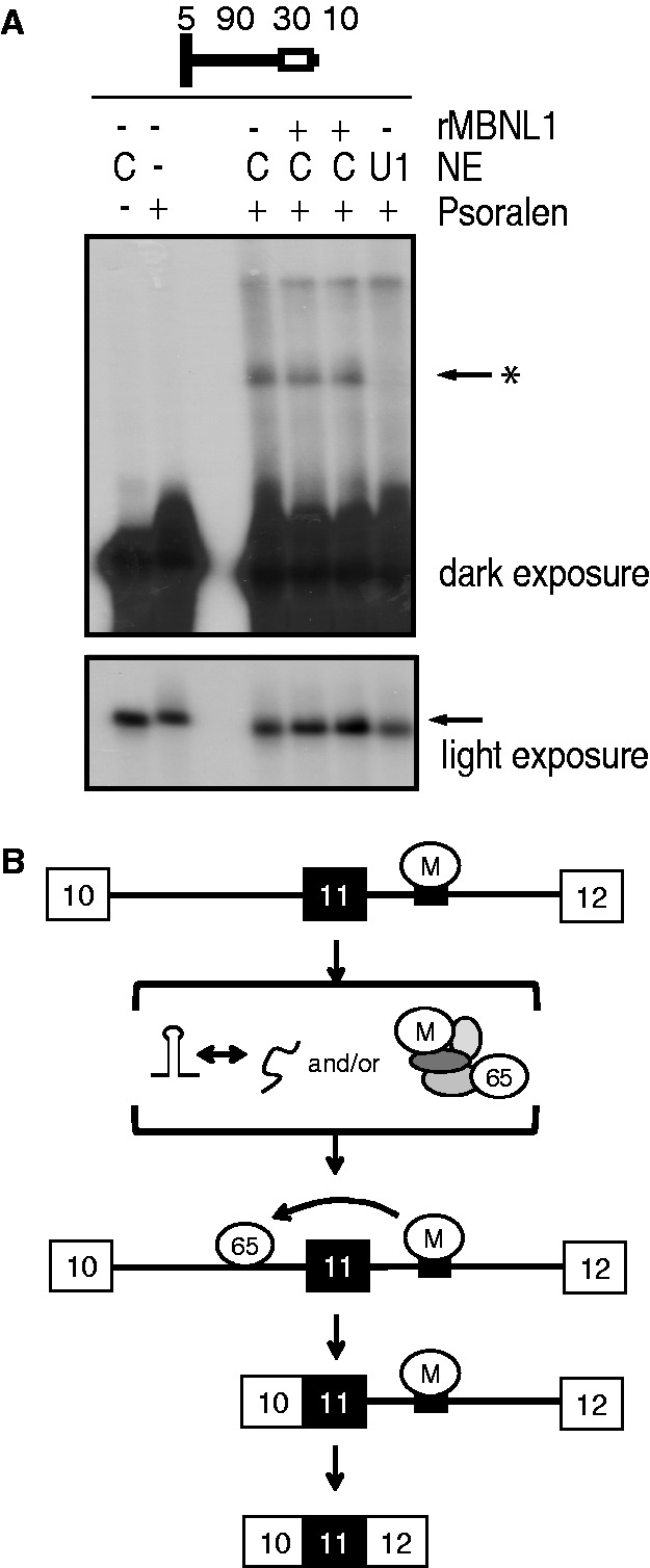 Figure 7.