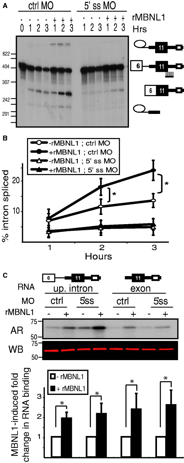 Figure 6.