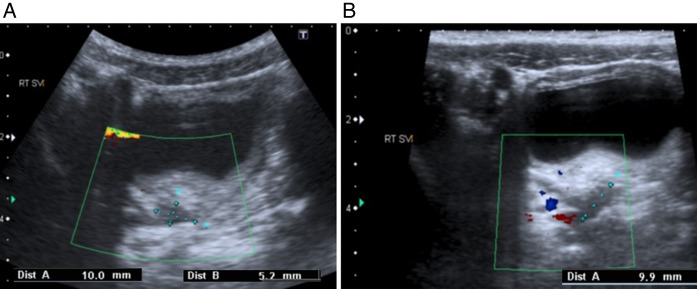 Figure 1