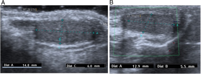 Figure 3