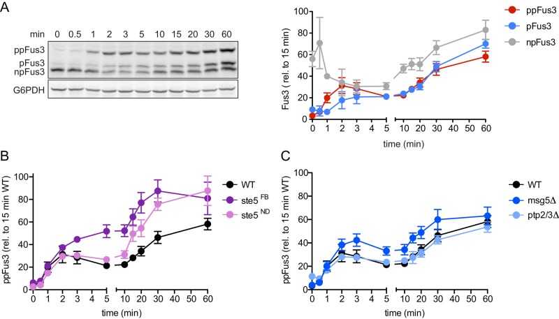 FIGURE 3: