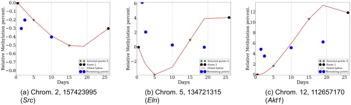 Figure 5—figure supplement 1.