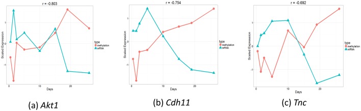 Figure 5.