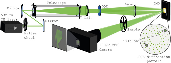 Figure 2