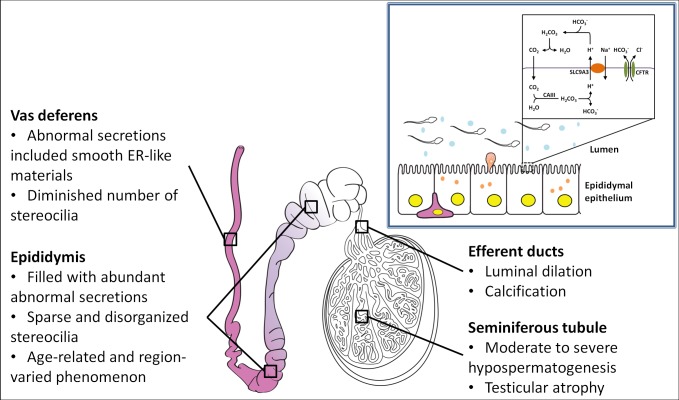 Fig 10