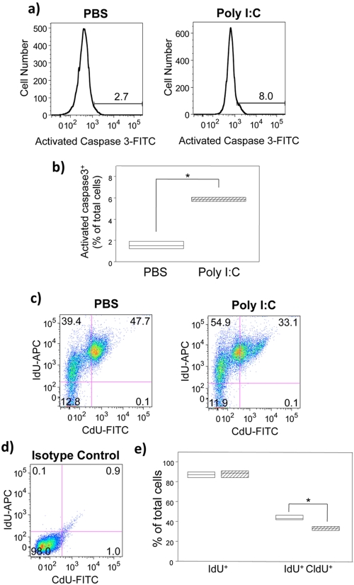 FIG 3 