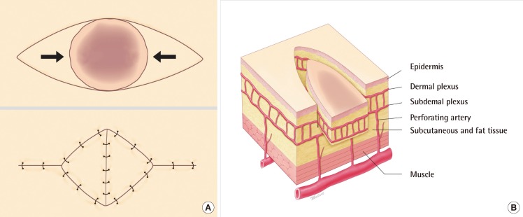 Fig. 5