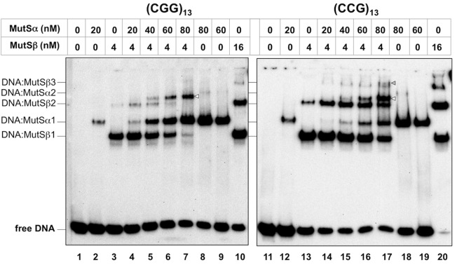 Fig 5