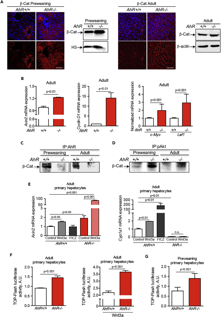 Figure 6