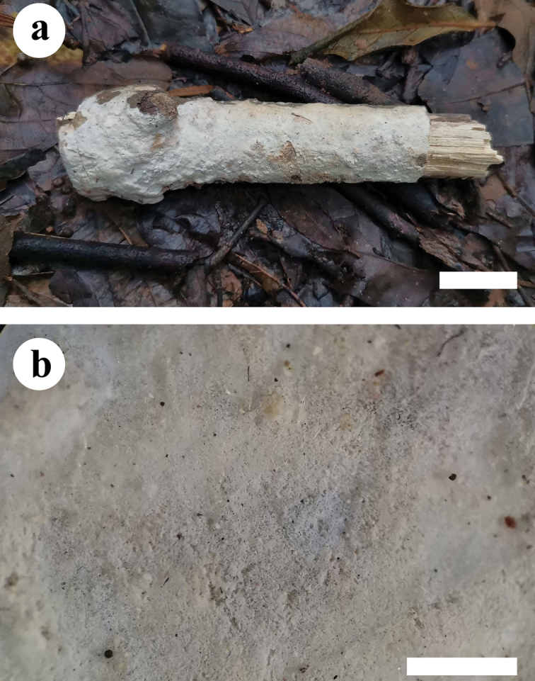 Figure 2.