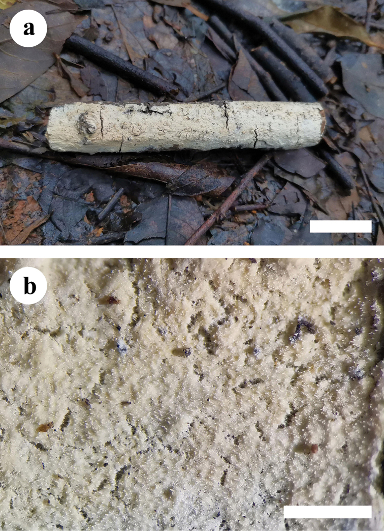 Figure 4.