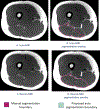 Figure 4: