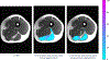 Figure 5:
