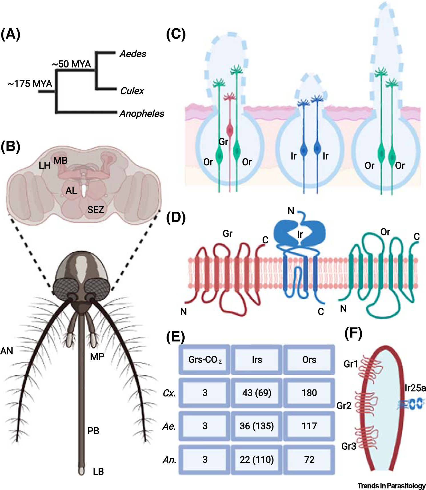 Figure 2.