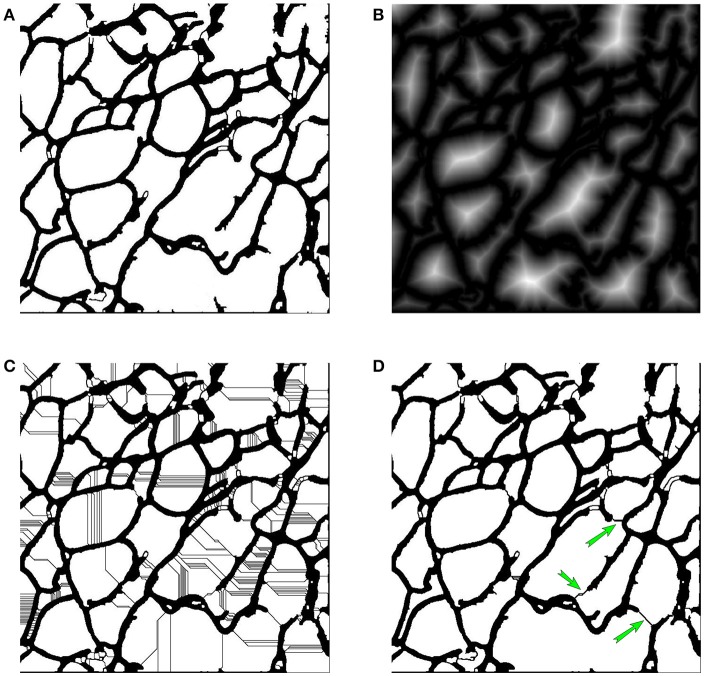 Figure 5