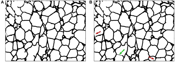 Figure 9