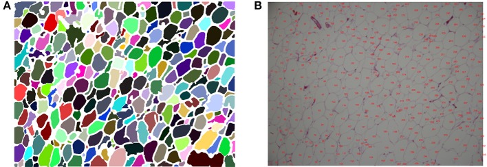 Figure 6