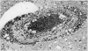 476-2