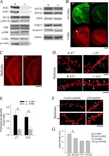 FIG. 10.