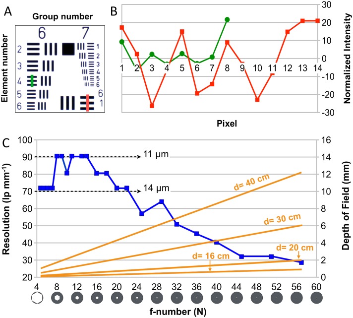 Fig 2