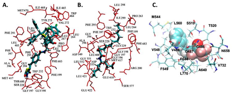 Figure 5