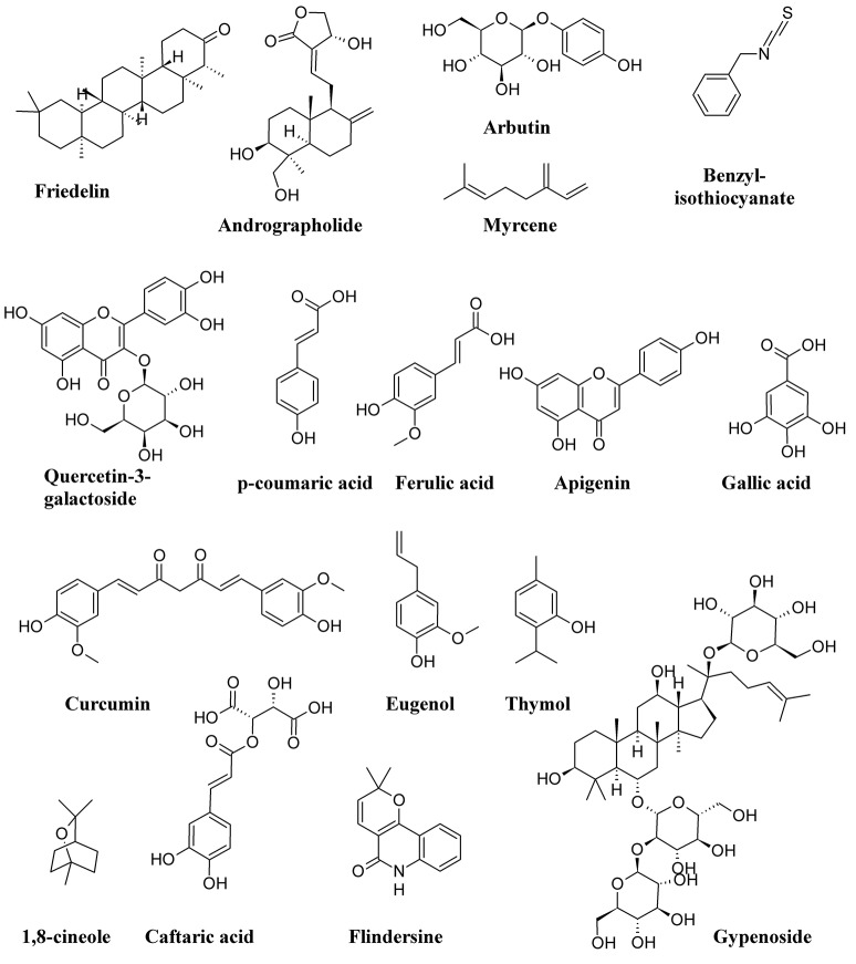 Figure 11