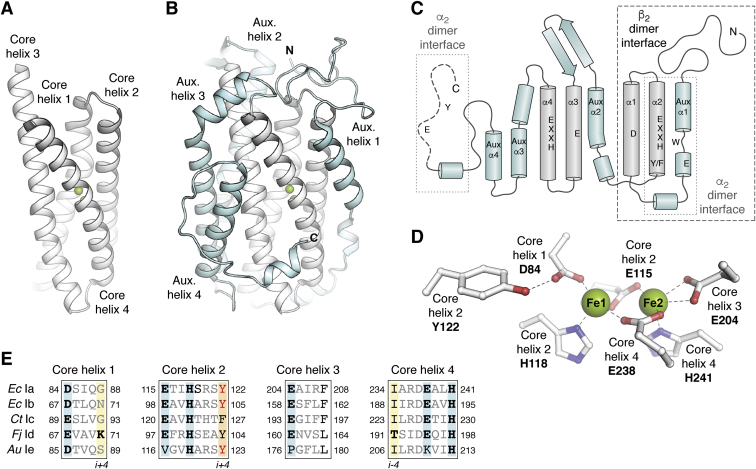 Figure 3