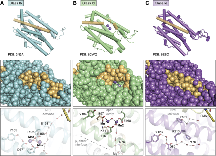 Figure 6