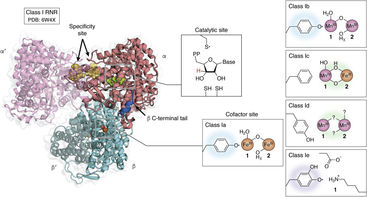 Figure 2