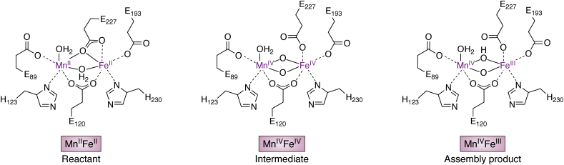 Figure 7