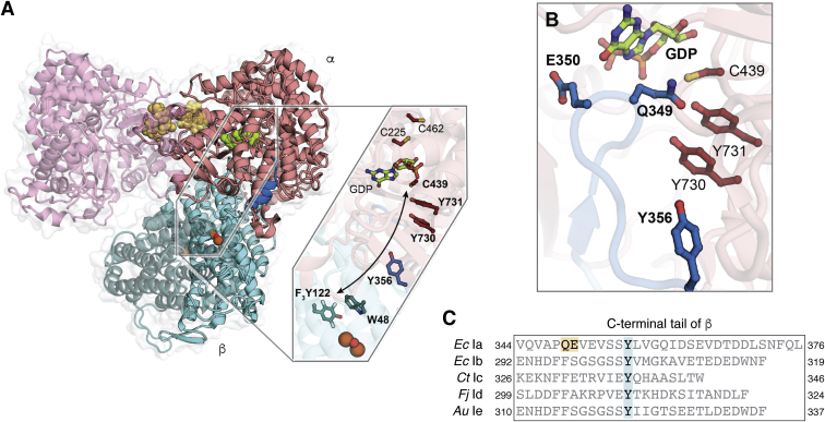 Figure 5