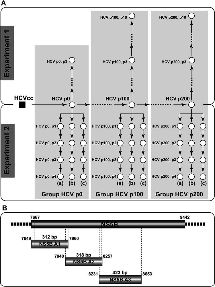 FIG 1