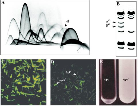 FIG. 7.