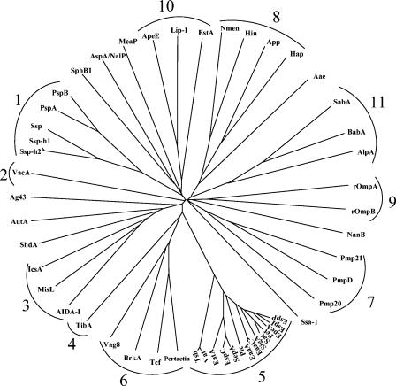 FIG. 6.