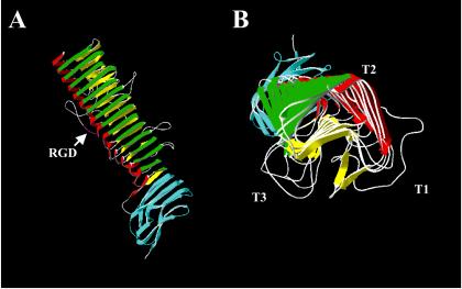 FIG. 11.