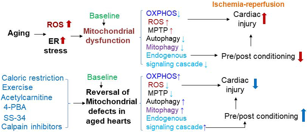 Figure 2: