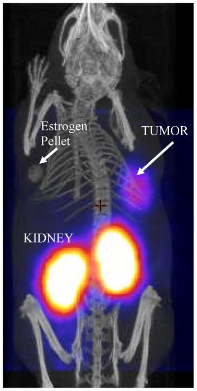 Fig.4