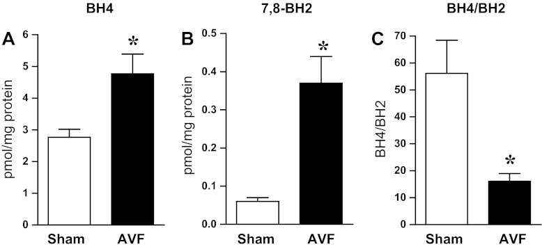 Fig. 5.