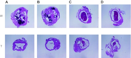 Fig. 7.