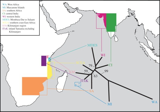 Figure 6.