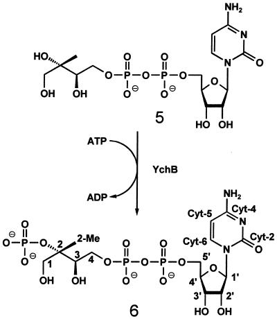 Figure 5