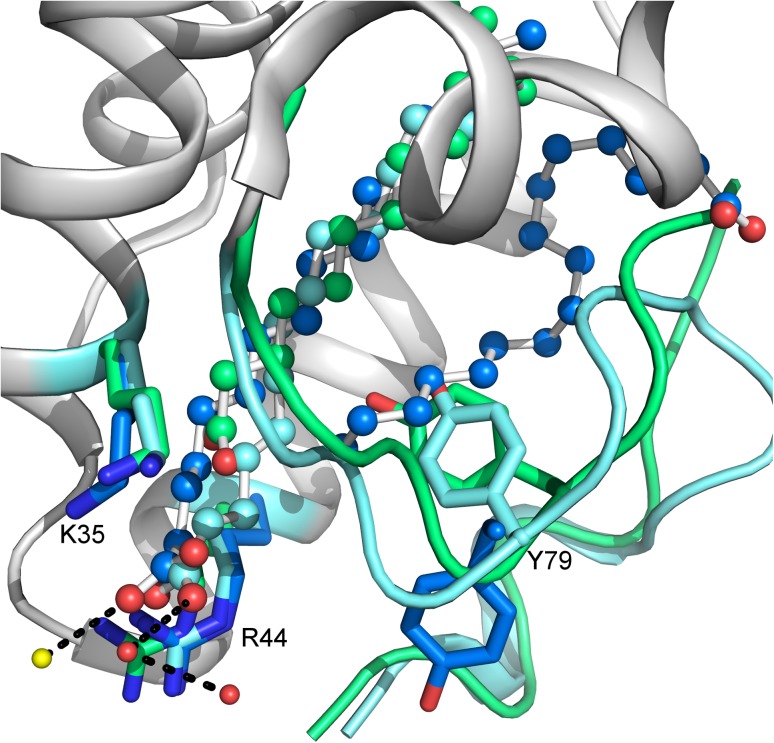 Fig. 4